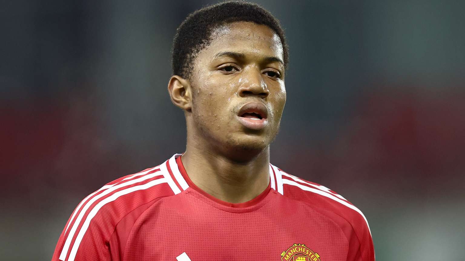 在这个联盟 在这个联盟