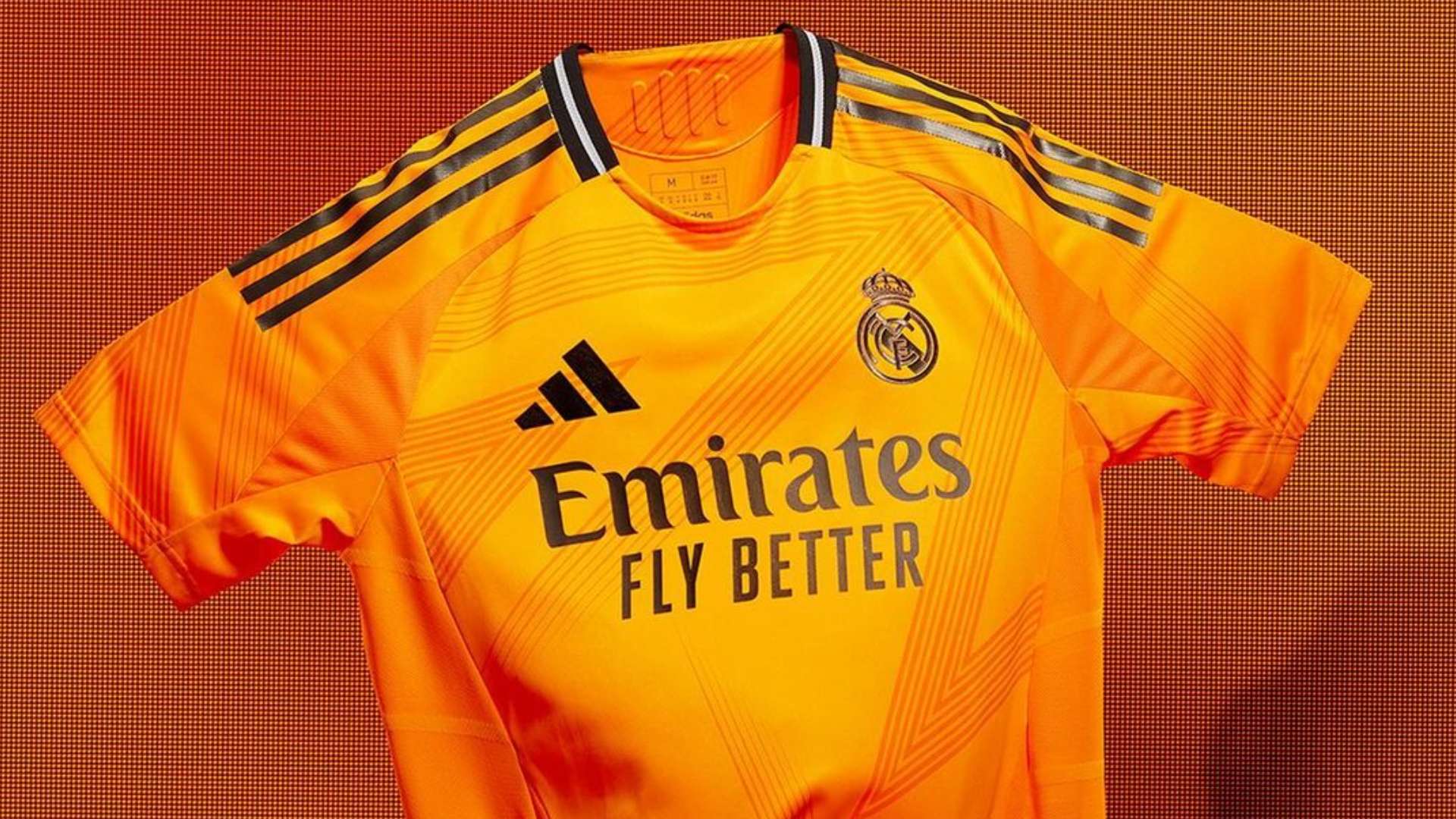 的登山者都 的登山者都