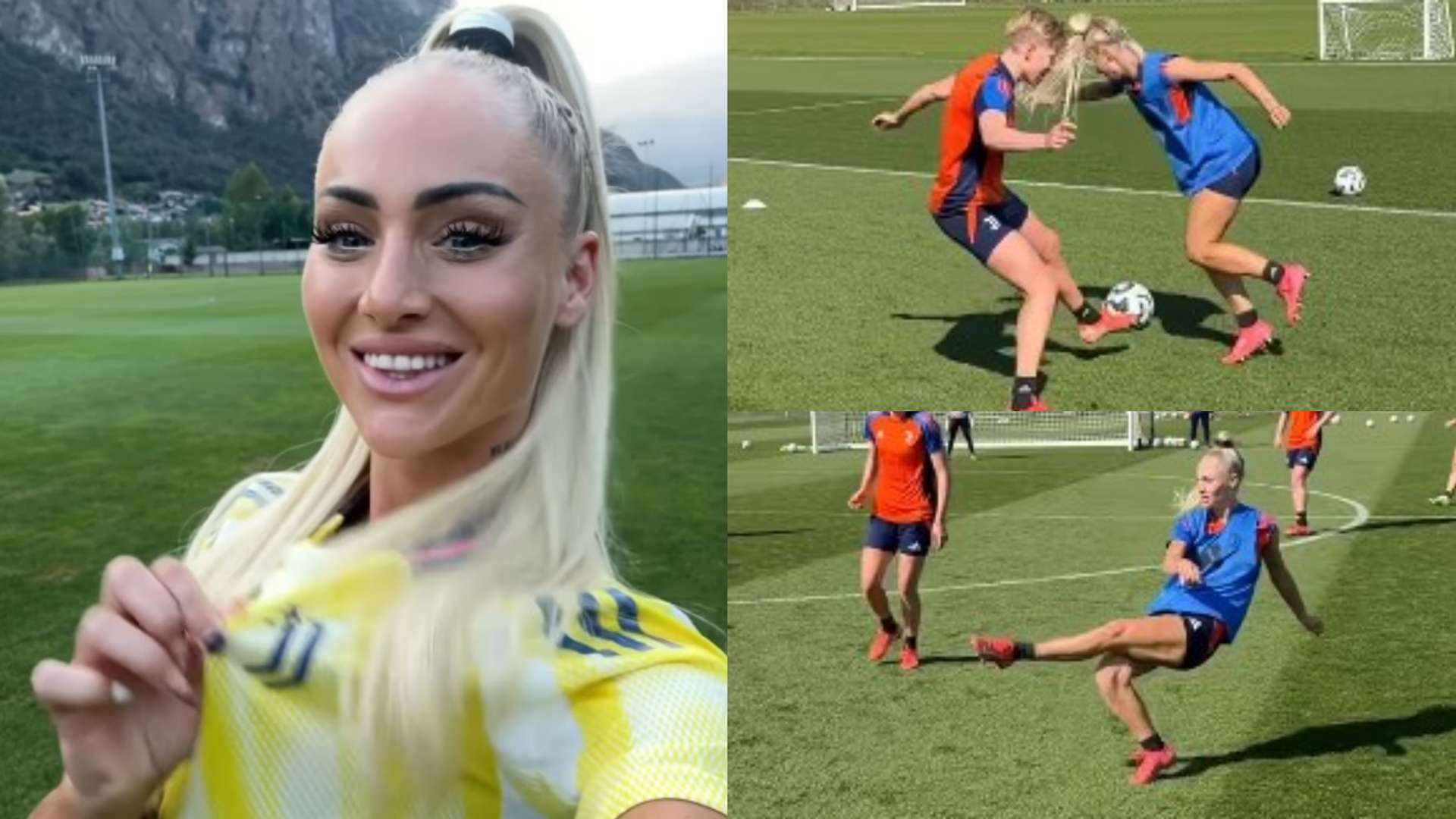 才提供了宝 才提供了宝